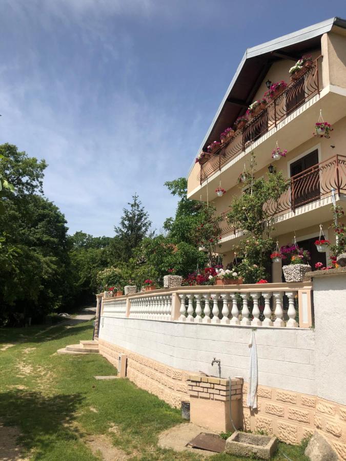 Apartman Ana Vrlika Ngoại thất bức ảnh